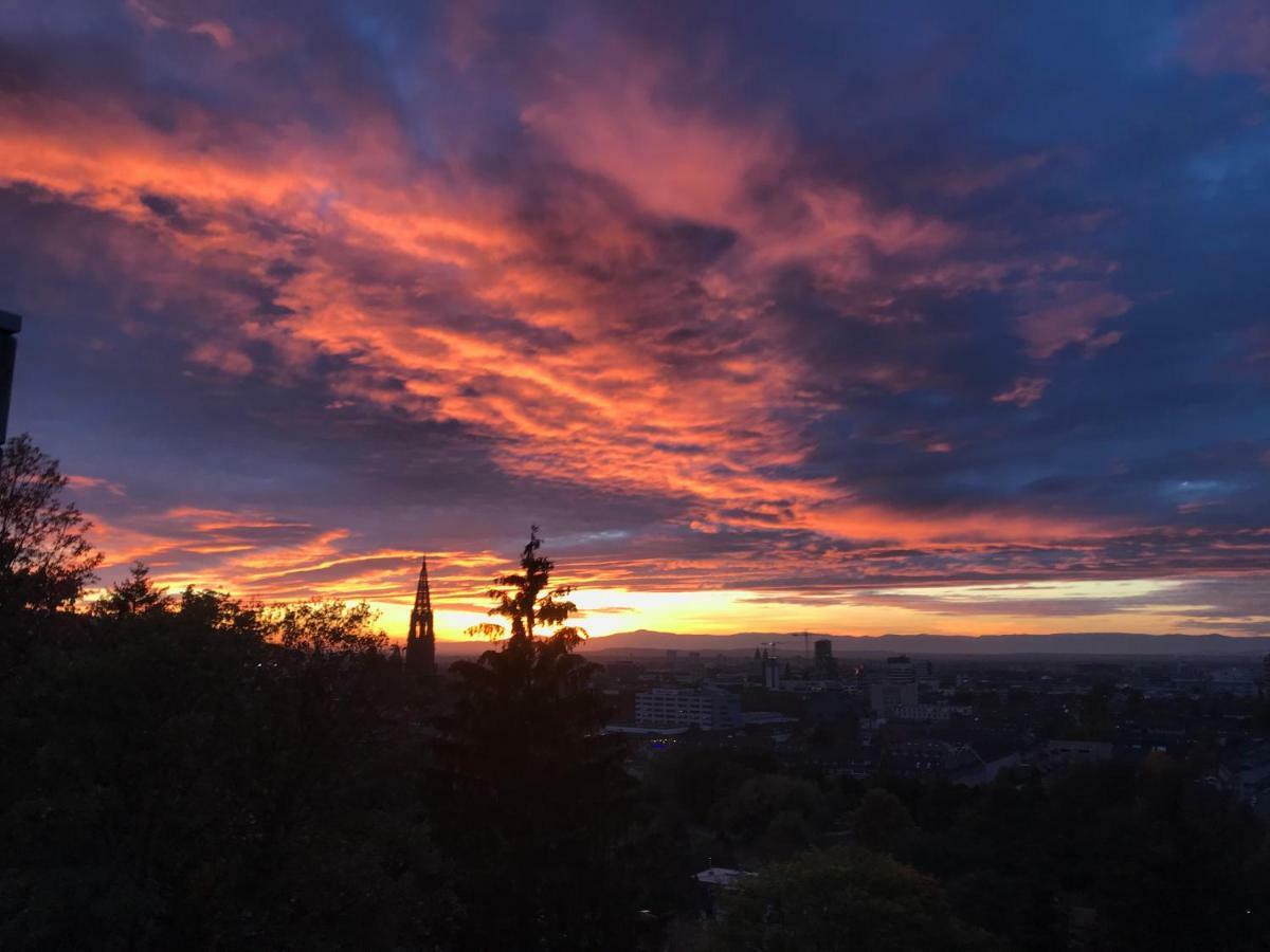 Ferienwohnung-Freiburg-Exklusiv Bagian luar foto